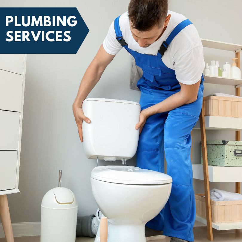 Plumbing Company in Paradise Valley, NV